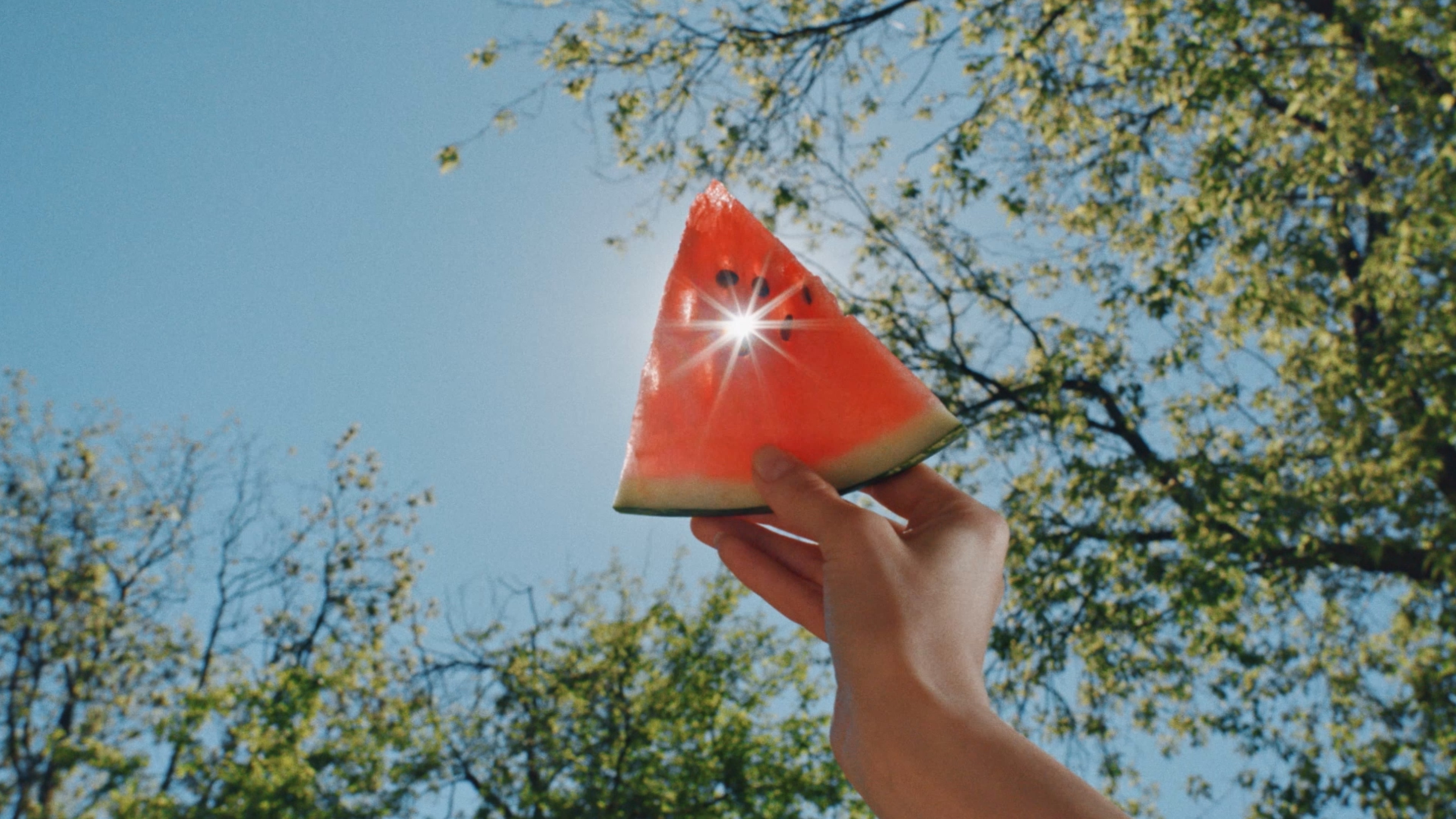Yandex Lavka frame 4